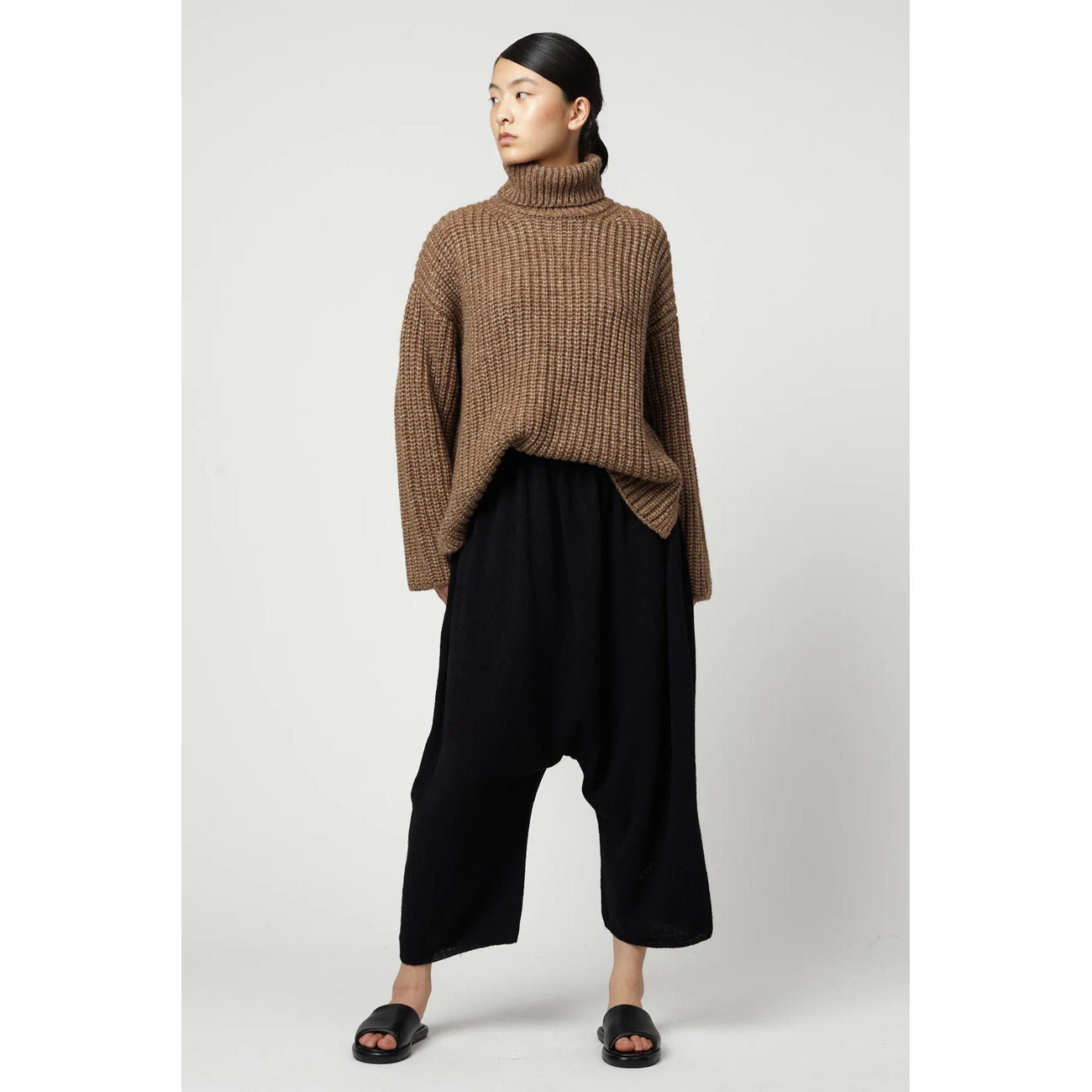 alpaca rib turtleneck in brown